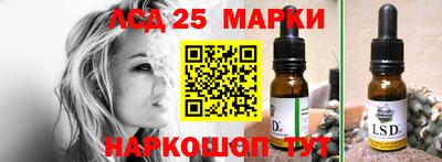 прущие грибы Жуковский