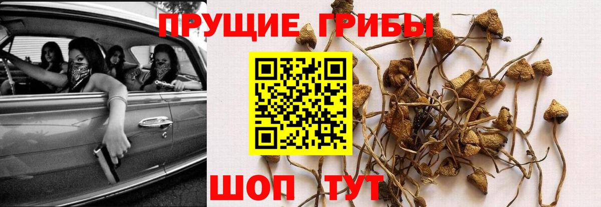 Гашиш  НБОМе  APVP СОЛЬ кристаллы  МЕФ кристаллы  Вход с VPN  Павловский Посад  Cocaine  Марихуана 