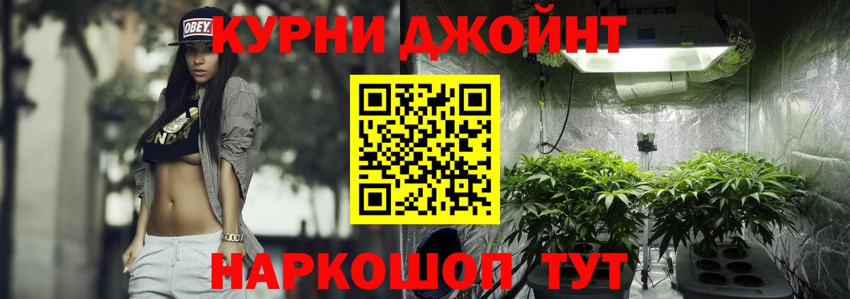 Шишки марихуана SATIVA & INDICA  Конопля White Widow  Вход с VPN  МАРИХУАНА SATIVA & INDICA  Павловский Посад 